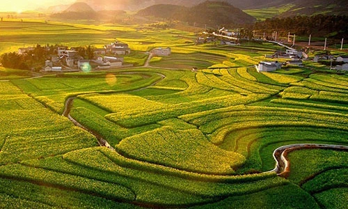 Ngắm ruộng bậc thang ở Trung Quốc vào mùa đẹp nhất năm