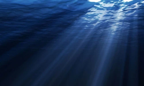 Những sự thật thú vị về đại dương mà bạn có thể chưa biết