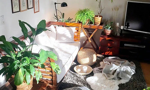 Căn nhà nhỏ xíu xanh mát bóng cây của chàng độc thân