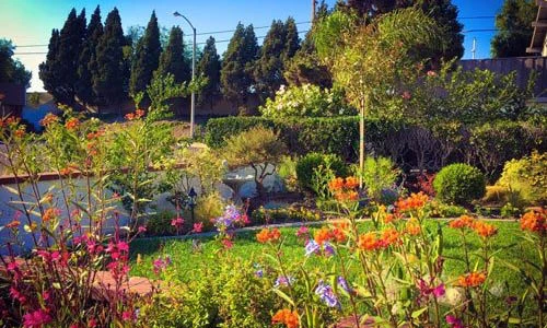 Những sao Việt tậu nhà triệu USD hoành tráng trên đất Mỹ