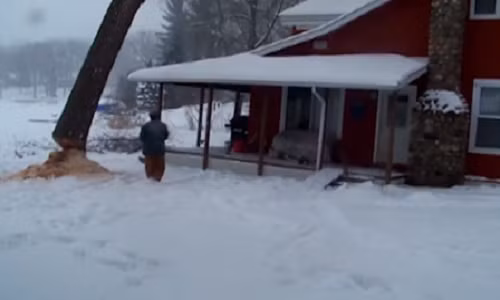 Cười lăn lộn với những tai nạn oái ăm khi chặt cây