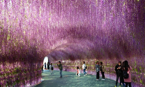 “Đã mắt” ngắm bộ ảnh du lịch đẹp nhất thế giới