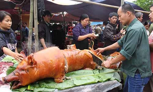 Ngắm rừng lợn quay ở Lạng Sơn ai cũng phát thèm