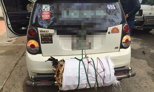 Xem những hình ảnh này mới thấy Tết đã đến thật rồi