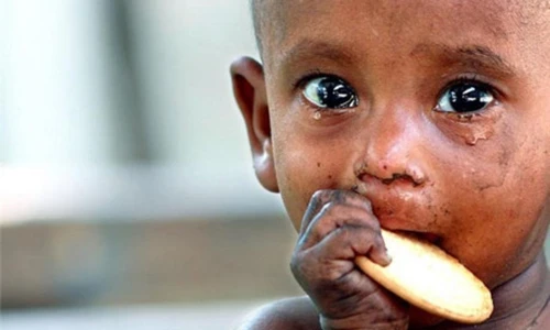 Những bức ảnh khiến con người buộc phải suy ngẫm