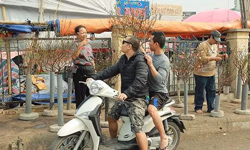 Đào nở sớm 50.000 đồng/cành rộn ràng xuống phố 