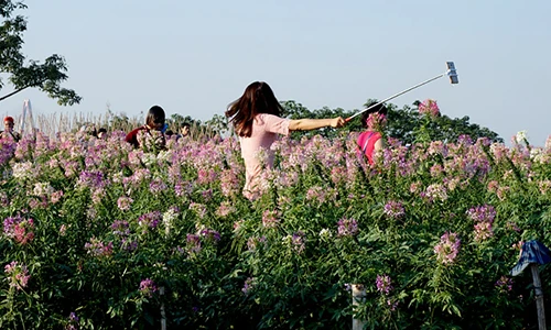 Sa vào chốn này khiến cô gái đẹp quên cả lối về