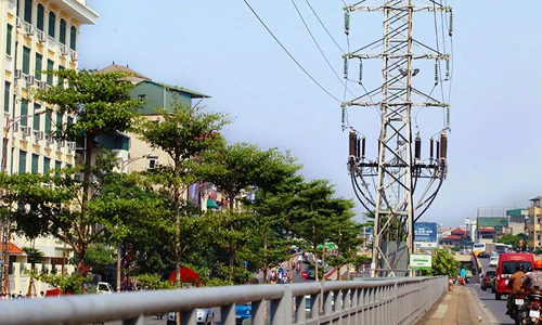 Ảnh: Hàng trăm cây xanh trồng dưới đường điện cao áp ở HN