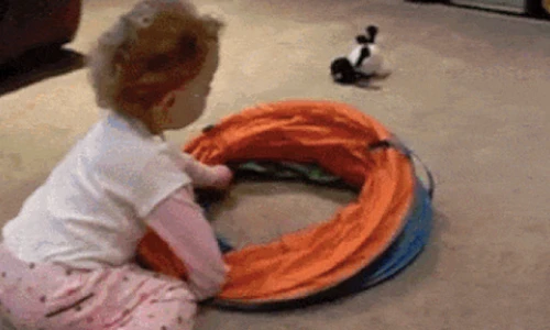 Ảnh động: Biểu cảm không nhịn được cười của các nhóc tì