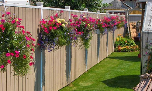 Tạo điểm nhấn rực rỡ cho hàng rào bằng thiên nhiên