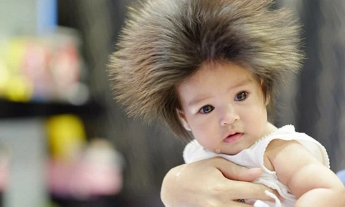 Phụ huynh đua nhau khoe ảnh con có mái tóc dựng đứng