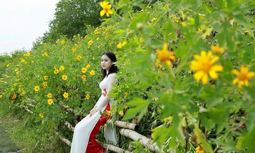 5 địa điểm chụp ảnh hoa đẹp khó cưỡng ở Hà Nội