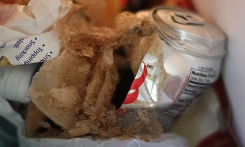 Bị khâu 38 mũi vì lon nước ngọt trong tủ lạnh phát nổ