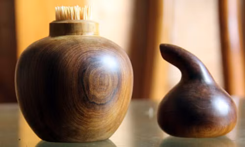 Thú chơi gỗ bách xanh quý hiếm để đắc tài đắc lộc 