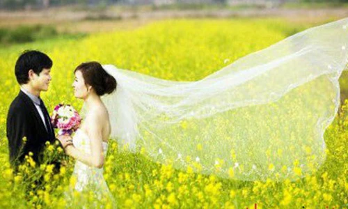 Chết mê với vườn hoa cải ven sông Tào ở xứ Thanh