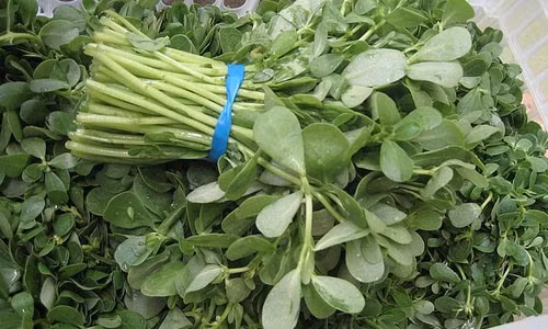 Trị mụn bọc, mụn trứng cá siêu nhanh bằng các loại rau vườn nhà