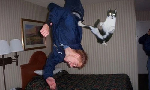 Sững sờ với khoảnh khắc tình cờ đến không ngờ