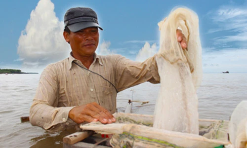 Nghề đẩy ruốc mưu sinh mùa gió Nam ở miền Tây