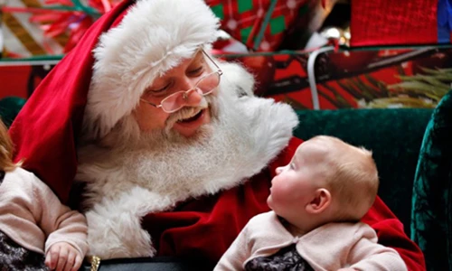 Vì sao dàn tuần lộc của ông già Noel đều là con cái? 