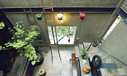 Nhà đẹp tràn sắc cây và nắng từ kho đồ bừa bộn