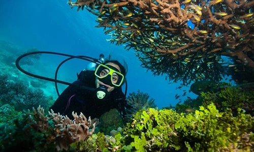 14 trải nghiệm du lịch sắp tuyệt chủng