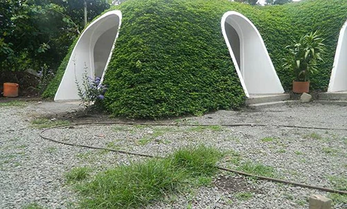 Những ngôi nhà phủ đầy hoa cỏ giữa thiên nhiên hoang sơ