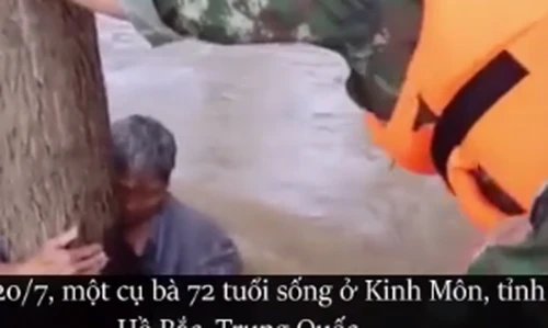 Cụ ông buộc vợ vào thân cây mặc cho mình bị lũ cuốn