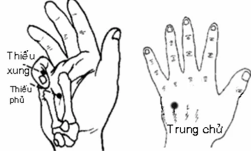 Cách kiểm tra nội tạng trong 10 phút không cần bác sĩ