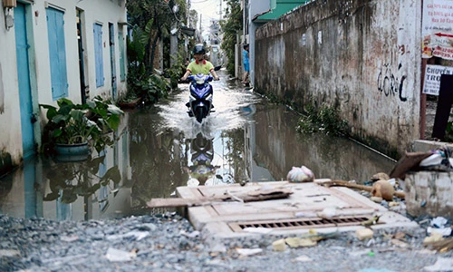 Ảnh: Hẻm thành ao, nhà mọc rêu do thi công đường ở Sài Gòn