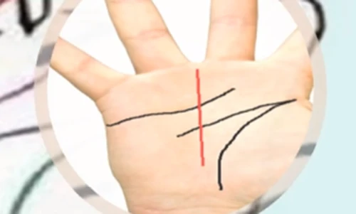 Có tướng tay này, ắt “nợ như chúa chổm“