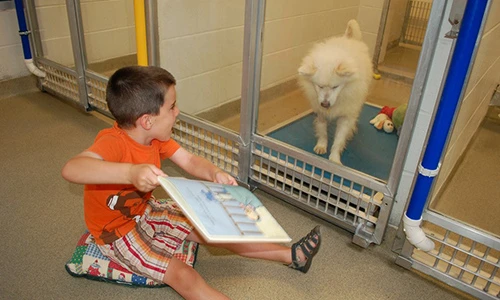 Mỹ: Trẻ em thích đọc sách cho chó