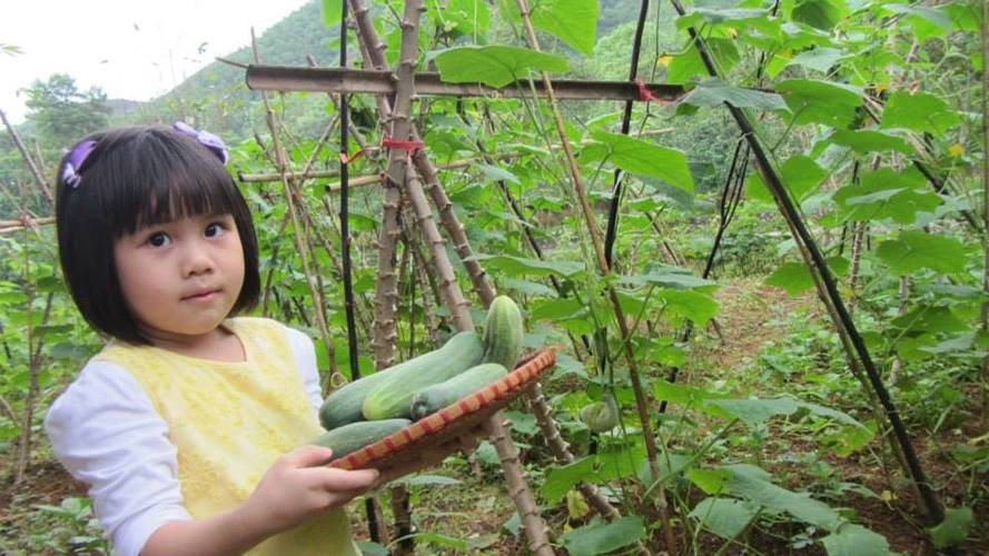 Một ngày làm nông dân siêu sướng ở trang trại ngoại ô