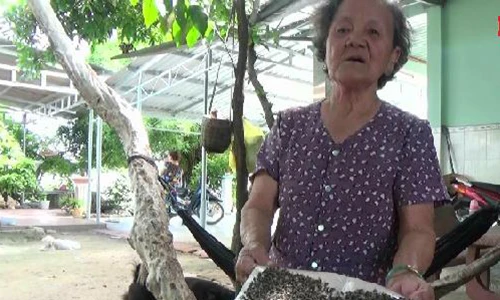 Người dân xã Đông Thạnh bị "hành" bởi bãi phơi phân bò