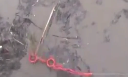 Thót tim cảnh người phụ nữ ôm khúc gỗ giữa nước lũ