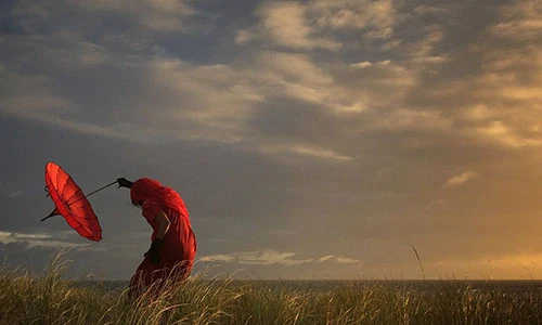 Ấn tượng với những bức ảnh “siêu đẹp” được chụp bằng iphone 