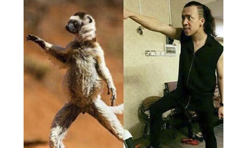 Cười ngất với ảnh tạo dáng bá đạo của loạt sao Việt