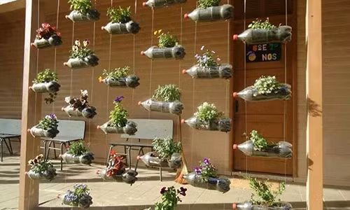 Bí quyết độc trồng cây từ vỏ chai nhựa