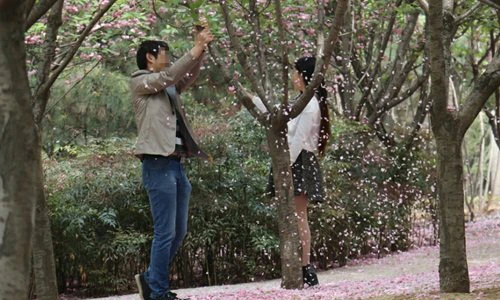 “Soái ca” rung cây điên cuồng cho hoa rụng để bạn gái chụp ảnh