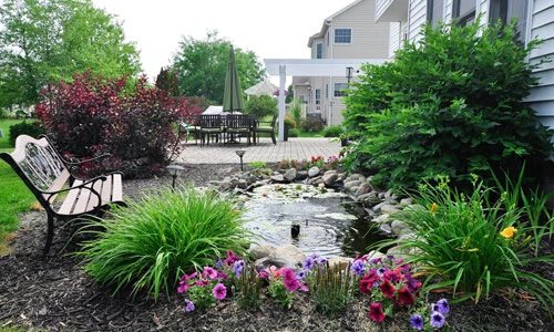 Mê mẩn vườn thiên đường của mẹ Việt trên đất Mỹ