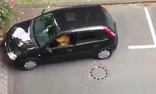 Cười lăn cười bò với màn đỗ xe “thảm họa” nhất lịch sử 