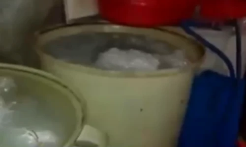 Kinh hoàng sứa biển giả làm từ hóa chất ở Trung Quốc