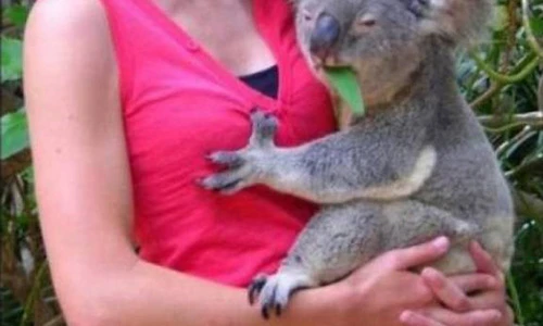 “Bắt quả tang” những “anh chàng”... háo sắc đến khó tin