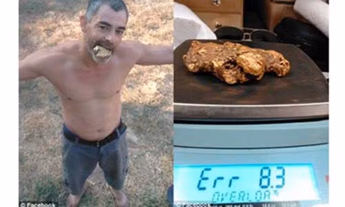 Nhặt được cục vàng 1,5 tỷ, phải trốn chui lủi trong khách sạn