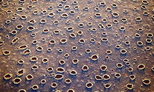 Bí ẩn những bức ảnh gây sốc trăm năm không lời giải 