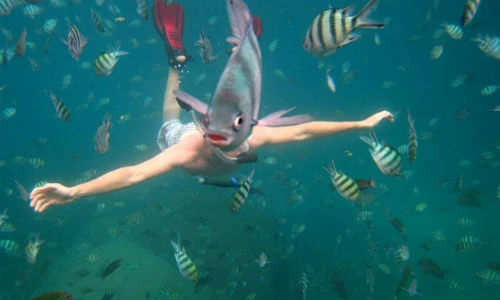 Những khoảnh khắc tình cờ đến bất ngờ