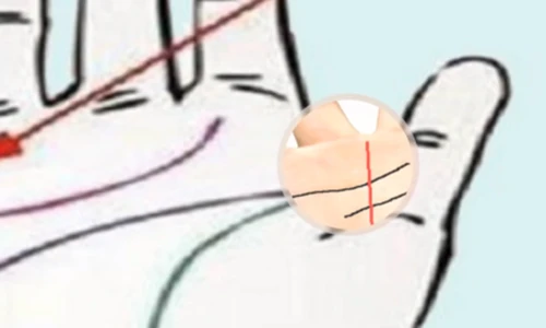 Xem tướng tay của người “nợ như chúa chổm“