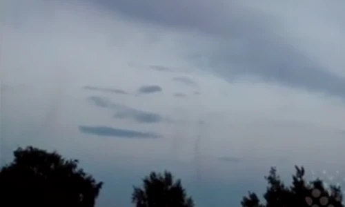 Hàng triệu con muỗi kết thành lốc xoáy trên bầu trời