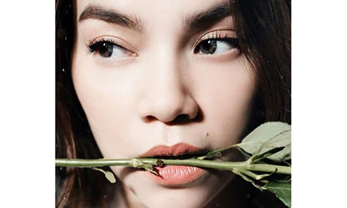 Bức ảnh đầy bí ẩn của Hà Hồ khiến nhiều người khó hiểu