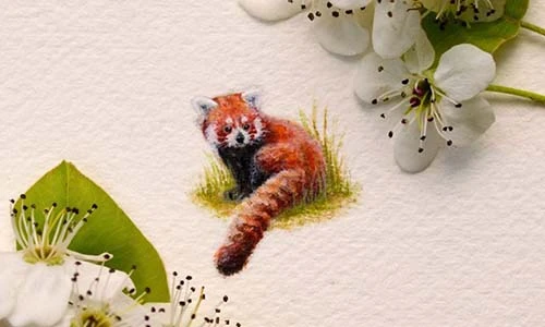 Độc đáo tranh màu nước tí hon của 9X nổi tiếng