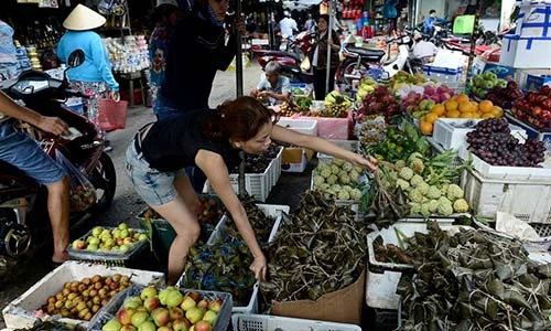 Chùm ảnh: Người Sài Gòn mua lá cây diệt sâu bọ Tết Đoan Ngọ